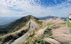 東北角芒花季主題小旅行開賣！秘境賞芒吃美食泡暖湯