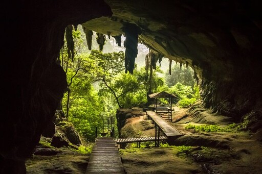 直飛東馬！砂拉越與沙巴迎旅遊熱潮 探索世界遺產新亮點