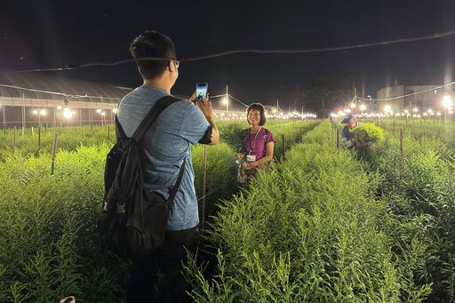 田尾花鄉小旅行 花卉.美食.手作體驗 同來徜徉花海之美