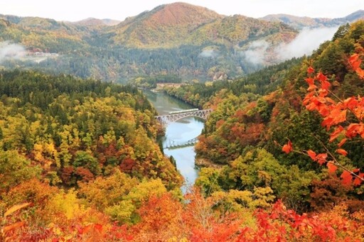 楓紅了！來去日本最美紅葉鐵道－只見線追楓