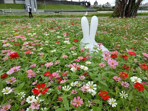 賞花加碼！關渡花海再增展區 群山圍繞別具自然野趣