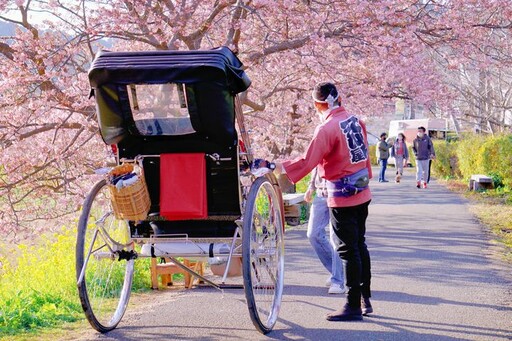 靜岡縣2024衝上日本魅力排行榜Top 10 6大人氣景點不藏私