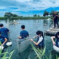 體驗漁村生活！東石一日遊 抓白蝦、製作一夜干、品烤蚵