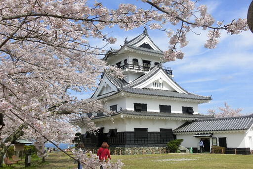 千葉春季必訪勝地 古蹟能量景點賞花、櫻花飛機同框美景