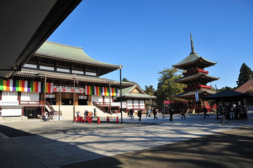 千葉春季必訪勝地 古蹟能量景點賞花、櫻花飛機同框美景