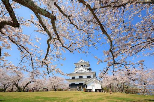 千葉春季必訪勝地 古蹟能量景點賞花、櫻花飛機同框美景