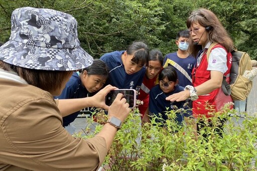 賞蝶季來了！校外教學至茂林環境教育中心 相迎南麓山林過冬嬌客