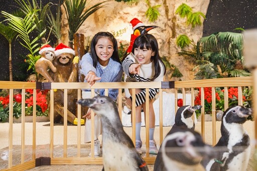 歡慶聖誕！沖繩DMM Kariyushi水族館打造夢幻打卡熱點！