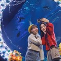 歡慶聖誕！沖繩DMM Kariyushi水族館打造夢幻打卡熱點！