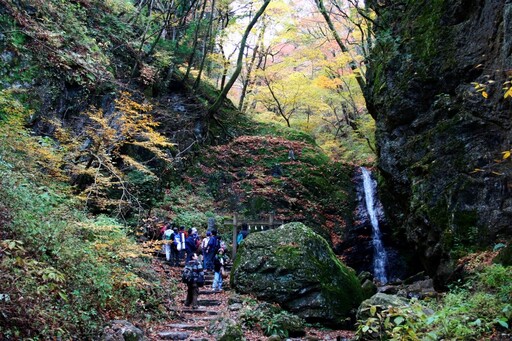 【東京朝活遊程之二】在多摩地區宿坊靜山莊，體驗瀑布下的冥想修行！