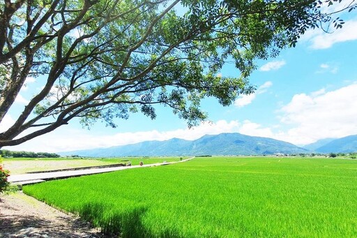 永信旅遊2024金旅獎．優旅選／花東樂齡深度慢旅、蜜月首選東歐奧捷、獨具巧思的超熱門多洛米堤之旅