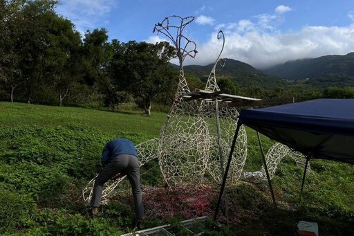 北投三層崎花海蓄勢待發 地景藝術換裝迎新年