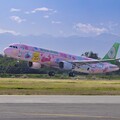 期間限定／長榮航空Hello Kitty「粉萌機」快閃高雄-香港航線