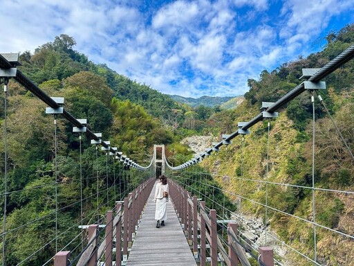 楓紅了！探秘嘉義阿里山鄉2日遊 賞楓行程全攻略