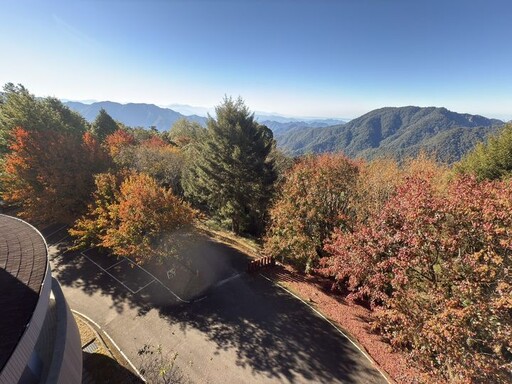 喜迎2025年！大雪山滿山遍野 熾烈楓紅接鴻運