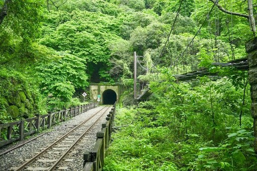 挑戰嘉義12條經典步道！登山健行再參加「黃阿瑪來嘉走走 步道尋寶」