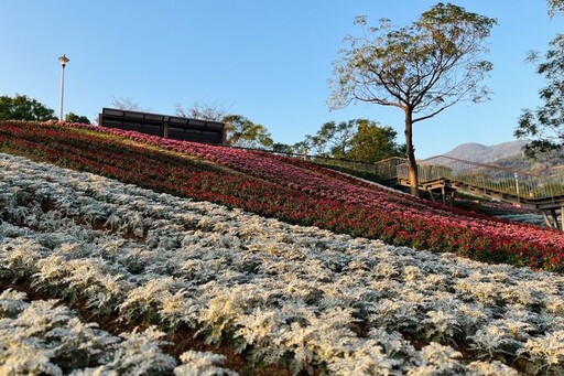 台版富良野／北投三層崎花海夢幻盛開 邀請賞花漫遊