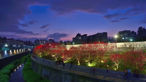 迪化街年貨大街熱鬧開賣 台北燈節花季接力登場迎蛇年