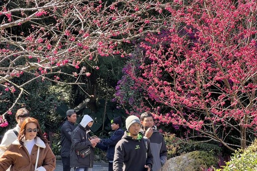 九族櫻花祭授旗欣迎第25回 台日交流系列活動與慶祝式陸續展開