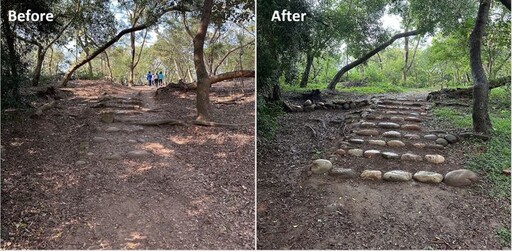 大甲鐵砧山新玩法 桂花泉登山步道換新貌 體驗手作步道之美