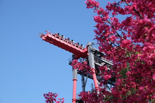 三大樂園祭出228連假優惠！超值門票、限定活動嗨翻春日假期