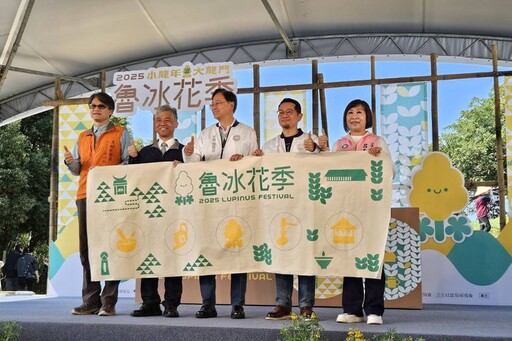 桃園魯冰花季登場 迎春賞花樂遊客庄