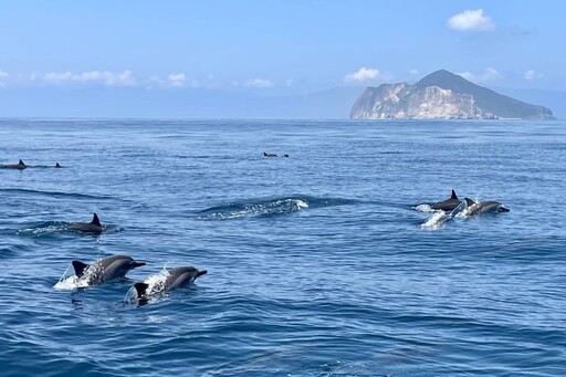 龜山島「鯨」艷再現 3/01起開放登島