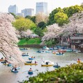 【東京賞櫻走春之一】千代田櫻花祭（3/12-4/23）欣賞倒映水面的夢幻美景