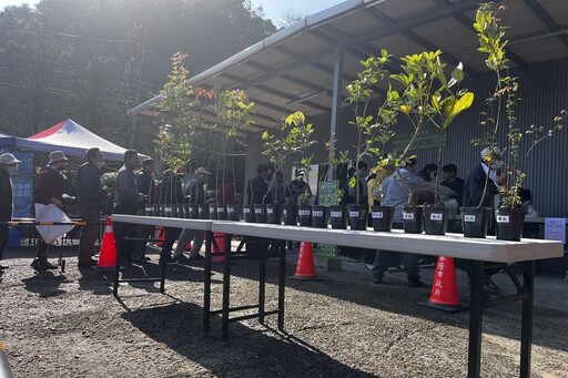 基隆植樹月開跑 3/12發票換樹苗