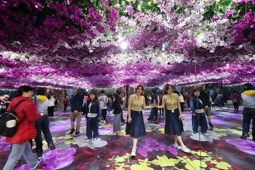 台南「2025台灣國際蘭展」賞花 加碼山區小旅行