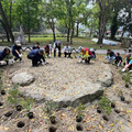 北飛接力！關子嶺嶺頂公園種蜜源植物 提供北返紫蝶補給