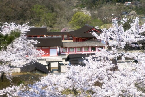 彷彿走入大河劇場景！岩手縣歷史公園藤原之鄉超多體驗好好玩