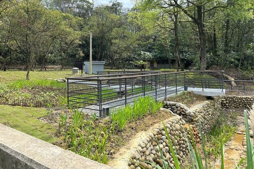 新北市平溪「觀音巖步道」風華重現 走進歷史生態之美
