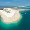 尋訪「天空精靈」澎湖賞鷗季 深度探索自然之美