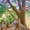 台中大坑眺景秘境開箱 4月到大坑5號步道感受雲霧繚繞風情