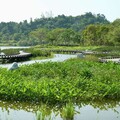 高雄觀音湖驚豔變身 打造生態旅遊新去處