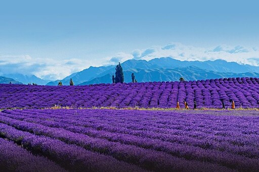 走進美麗中華涼都 夏季避暑勝地推薦