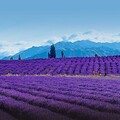走進美麗中華涼都 夏季避暑勝地推薦