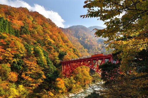 CP值爆棚！一票玩轉台日雙鐵 阿里山林鐵ｘ黑部峽谷鐵道 期間限定互惠開跑