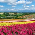 泰越捷航空復航桃園－札幌航線 7/16起每週四班直達北海道