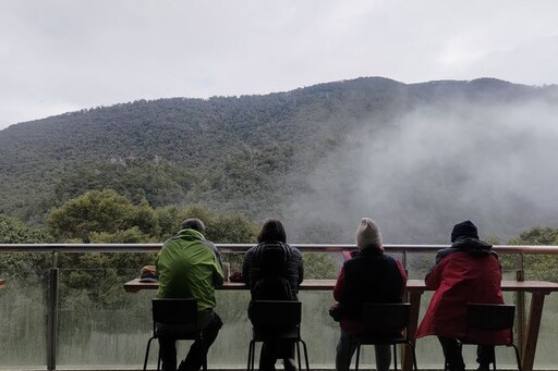 巨木陪你一起聽音樂 拉拉山巨木音樂會揭開旅遊序幕
