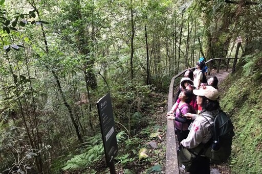 探索北橫夏季出發！三大主題遊程等你玩 再抽桃園住宿大獎