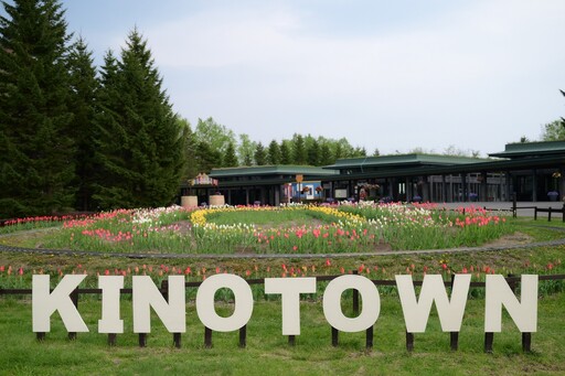 札幌近郊最大規模！國營瀧野鈴蘭丘陵公園鬱金香花海美瘋了！