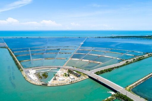 端午連假／台南多項活動「龍粽登場」龍舟、美食、賞花趣 全家出遊大滿足