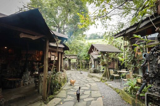 走進阿里山樂野部落 品茶、品咖啡、賞山景