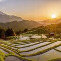 日本最大梯田！三重縣的丸山千枚田美景迷人