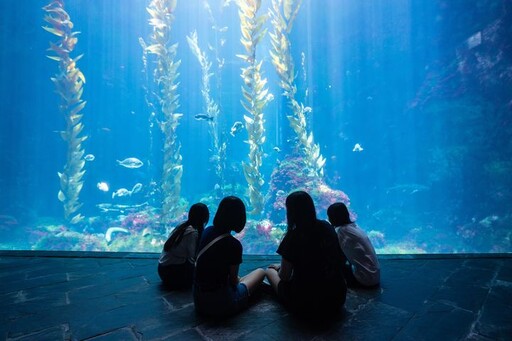 海生館世界海洋日「魚樂無窮」6/7-6/8限時報名有機會享「夜宿四人同行一人免費」