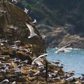 「馬祖海洋觀光」活動開跑 用海上視角重新認識馬祖