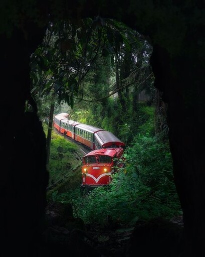 鐵道ｘ部落ｘ茶旅 阿里山親子自駕遊程推薦
