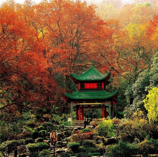 美麗中華神州遊 走進紅葉秘境 邂逅金秋「楓」光